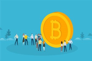 比特币信息app，数字货币资讯与交易助手