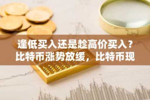 逢低买入还是趁高价买入？比特币涨势放缓，比特币现金企稳——但“月亮牛市”号称下一个千倍加密货币。