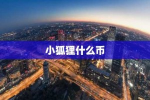 小狐狸什么币