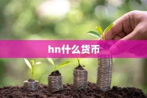 hn什么货币