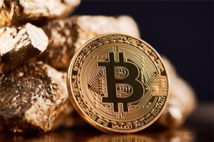 奇亚币100t收益，奇亚币投资回报分析