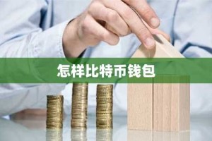 怎样比特币钱包