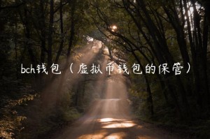bch钱包（虚拟币钱包的保管）