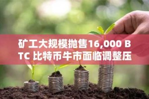 矿工大规模抛售16,000 BTC 比特币牛市面临调整压力