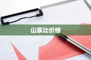 山寨比价格