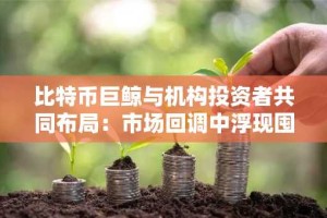 比特币巨鲸与机构投资者共同布局：市场回调中浮现囤积型投资机遇