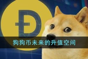狗狗币未来的升值空间（狗狗币未来涨到150美元）