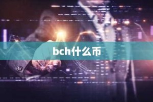 bch什么币