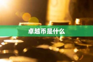 卓越币是什么