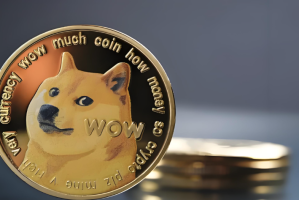 Doge币交易所有哪些？全面解析中心化与去中心化交易平台