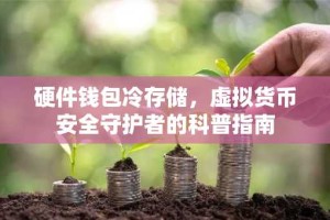 硬件钱包冷存储，虚拟货币安全守护者的科普指南