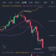 比特币行情最新走势图：比特币行情最新走势图表