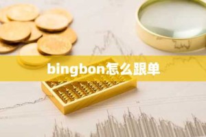 bingbon怎么跟单
