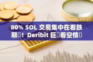 80% SOL 交易集中在看跌期權！Deribit 巨鯨看空情緒濃厚