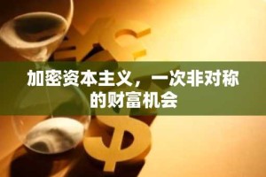 加密资本主义，一次非对称的财富机会