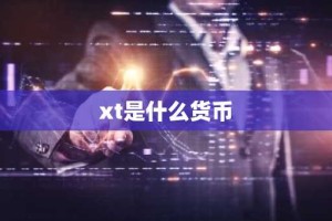 xt是什么货币