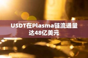 USDT在Plasma链流通量达48亿美元