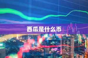 西瓜是什么币