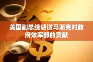 美国副总统感谢马斯克对政府效率部的贡献