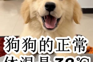 成年比特犬正常体温范围及影响因素分析