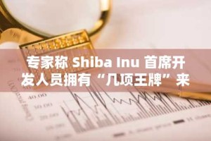专家称 Shiba Inu 首席开发人员拥有“几项王牌”来推动 SHIB 价格达到 0.01 美元