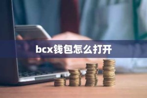 bcx钱包怎么打开