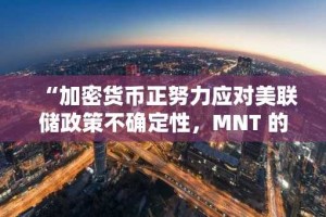 “加密货币正努力应对美联储政策不确定性，MNT 的突破潜力和 SHIB 的销毁难题”