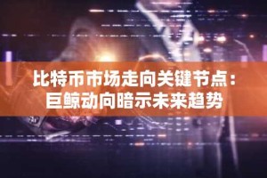 比特币市场走向关键节点：巨鲸动向暗示未来趋势