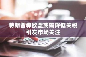 特朗普称欧盟或需降低关税引发市场关注