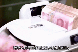 230M人民币价值分析，数字货币市场动态解读
