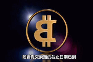 BTC神鱼深度解析，比特币市场动态与投资策略