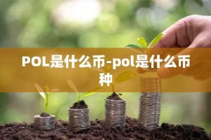 POL是什么币-pol是什么币种