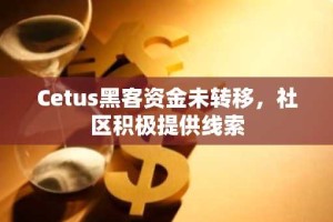 Cetus黑客资金未转移，社区积极提供线索