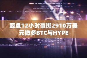 鲸鱼12小时豪掷2910万美元做多BTC与HYPE