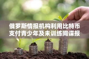 俄罗斯情报机构利用比特币支付青少年及未训练间谍报酬：调查揭示加密货币在间谍活动中的应用