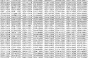 手机号码数字资产：数字 手机号