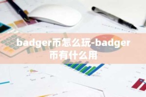 badger币怎么玩-badger币有什么用