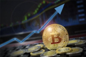 稳定的比特币论坛，数字货币交流的坚实平台