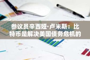 参议员辛西娅·卢米斯：比特币是解决美国债务危机的“唯一出路”