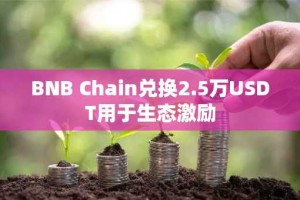 BNB Chain兑换2.5万USDT用于生态激励
