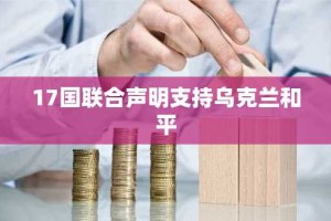 17国联合声明支持乌克兰和平