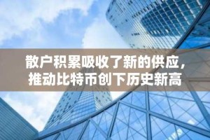 散户积累吸收了新的供应，推动比特币创下历史新高