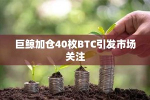 巨鲸加仓40枚BTC引发市场关注