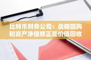 比特币财务公司：战略回购和资产净值修正是价值回收的途径