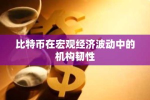 比特币在宏观经济波动中的机构韧性