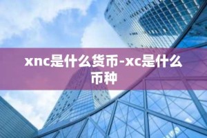 xnc是什么货币-xc是什么币种