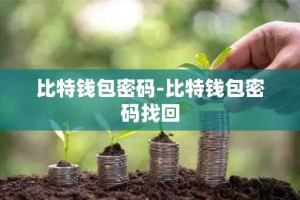 比特钱包密码-比特钱包密码找回