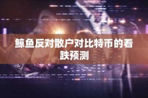 鲸鱼反对散户对比特币的看跌预测