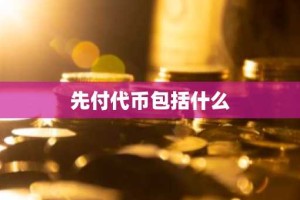 先付代币包括什么