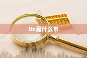 tic是什么币